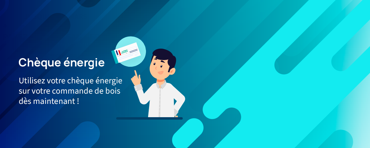 Le dispositif chèque énergie